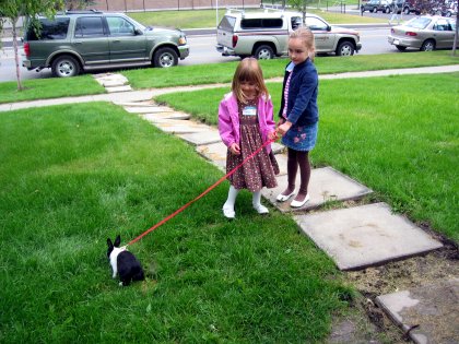 Walking Maddy's bunny