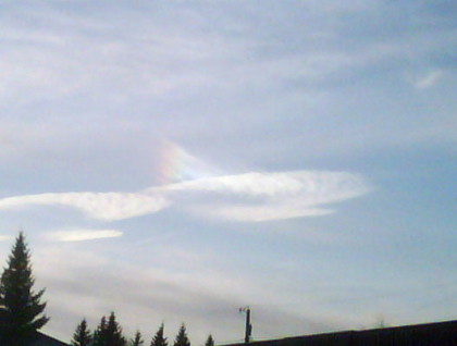 A cloud that looks like a fish