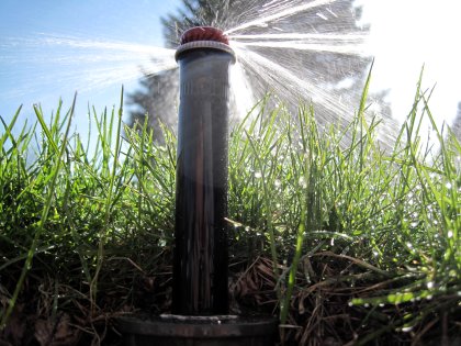 A view from a sprinkler's perspective