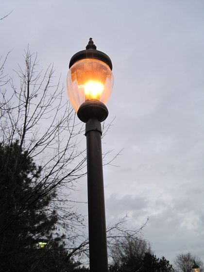 A lamp set afront some leafless trees