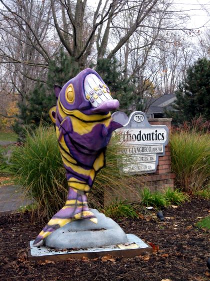 An orthodontic fish