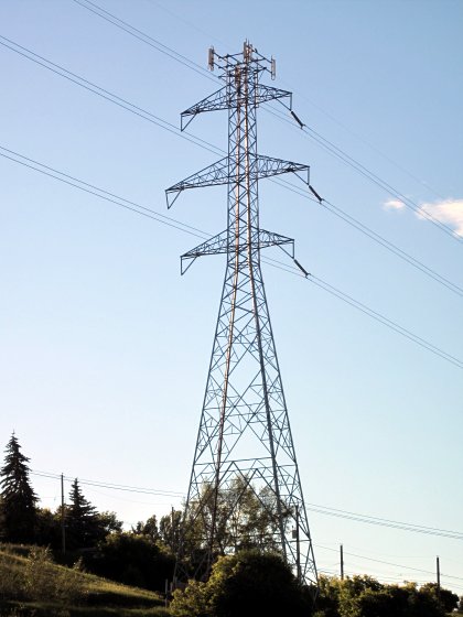Electricitrees