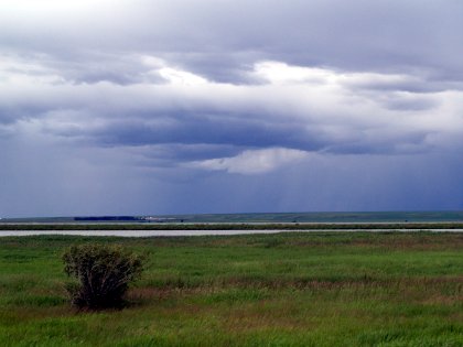 Prairie Sky