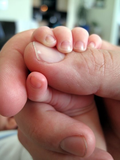 My son's hand clasping my thumb