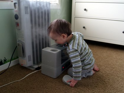 Spike peers into a humidifier