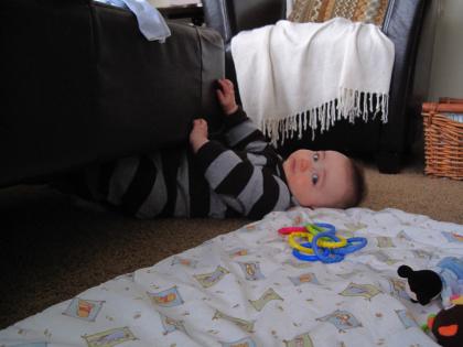 Rolled under the ottoman