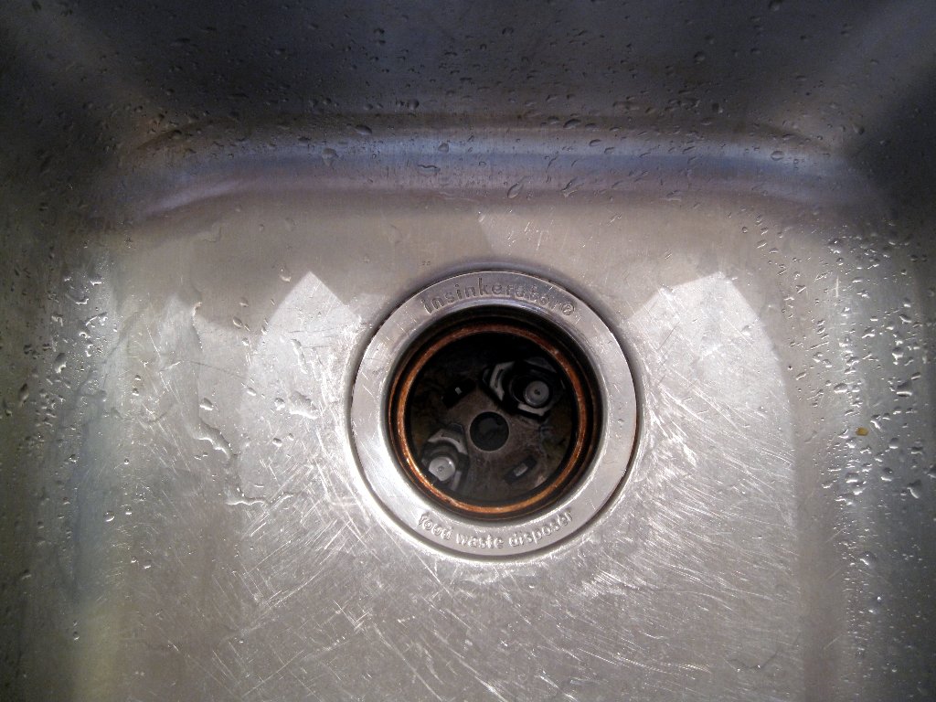 Insinkerator after devouring corn cob food wastes