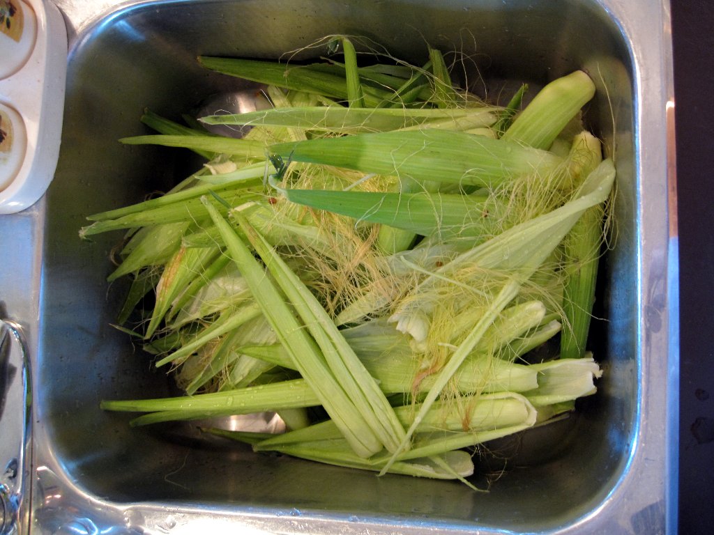Insinkerator about to tackle a sink full of corn husks