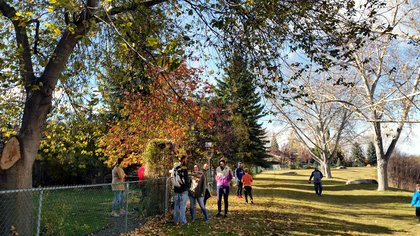 Going for a walk in the fall