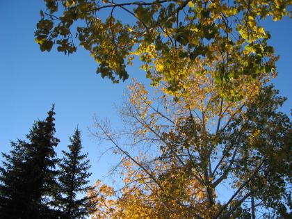 Fall is here