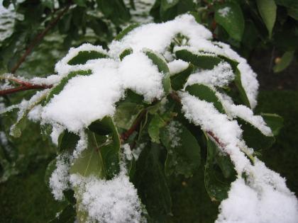First Snowfall of the Year