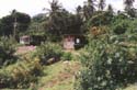 My Life -> Grenada -> Picture 28
