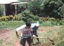 My Life -> Grenada -> Picture 13