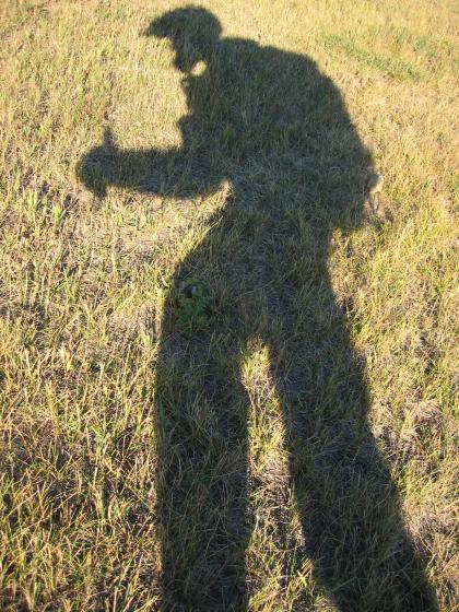 Casting a Long Shadow