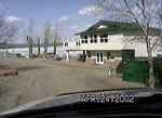 Pine Lake 2002 -> April 24 -> Picture 5