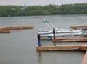 Pine Lake 2002 -> July 7 - 21 (Sandy Cove) -> Picture 4