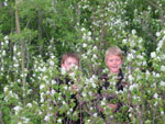 Pine Lake 2002 -> June 7 - 9 -> Picture 17
