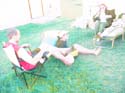 Pine Lake 2003 -> July 18-27 Messed Camera -> Picture 22