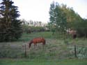 Pine Lake 2003 -> July 18-27 Scenery -> Picture 4