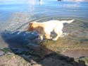 Pine Lake 2003 -> September 11-14 -> Picture 40
