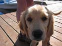 Pine Lake 2003 -> September 11-14 -> Picture 49