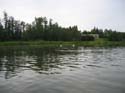 Pine Lake 2004 -> July 23-29 -> Picture 26