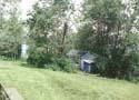 The Old Pine Lake -> The Old Pine Lake -> Picture 15