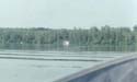 The Old Pine Lake -> The Old Pine Lake -> Picture 24