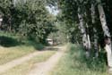 The Old Pine Lake -> The Old Pine Lake -> Picture 21