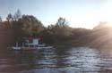 The Old Pine Lake -> The Old Pine Lake -> Picture 2