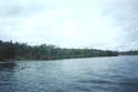 The Old Pine Lake -> The Old Pine Lake -> Picture 32
