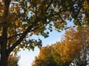 Seasonal Pictures -> Fall 2003 -> Picture 14