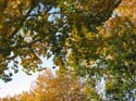 Seasonal Pictures -> Fall 2003 -> Picture 15