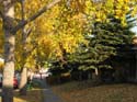 Seasonal Pictures -> Fall 2003 -> Picture 19