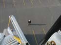 Sylvania Lighting Services -> Aerial Work -> Picture 7
